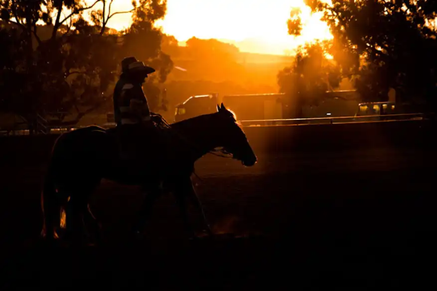 Silhouette of a person on horseback at sunset